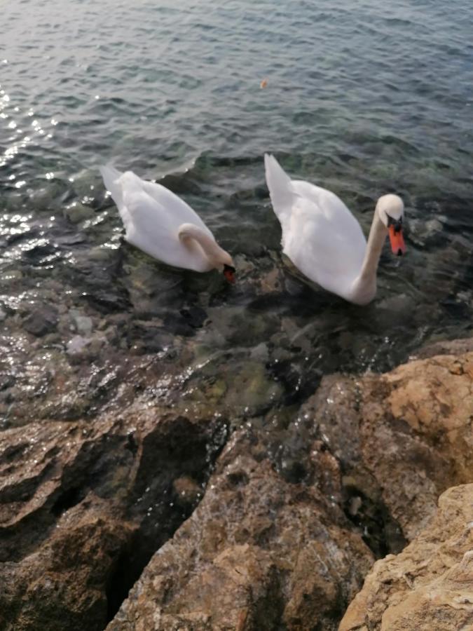 Apartmani Vinko Bibinje Luaran gambar